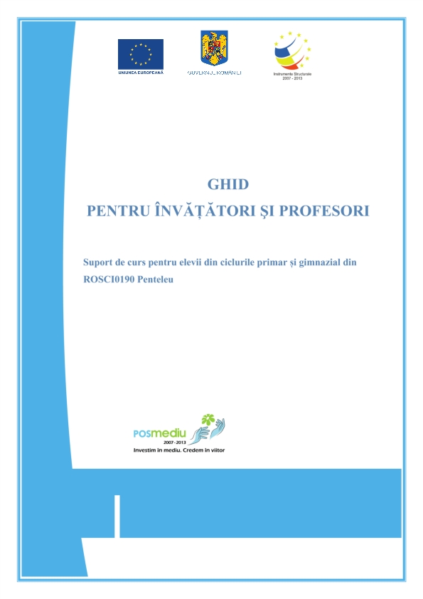 Cover of Ghid pentru învățători și profesori (Penteleu)